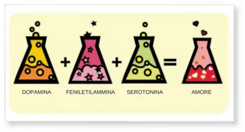 Meilės chemija: kodėl mes įsimylime?