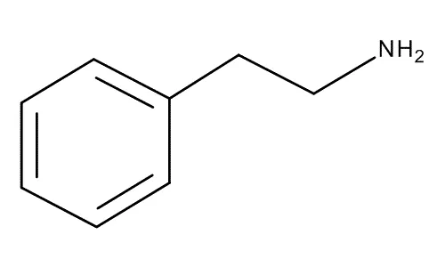 Meilės chemija: kodėl mes įsimylime?