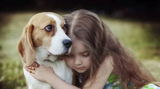 Amar um animal: por que tanta intensidade?