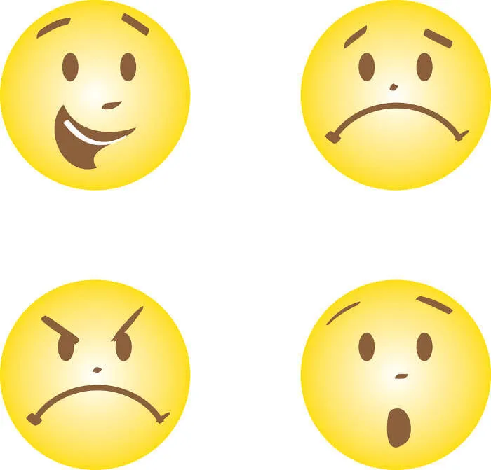 Hoeveel emoties zijn er?