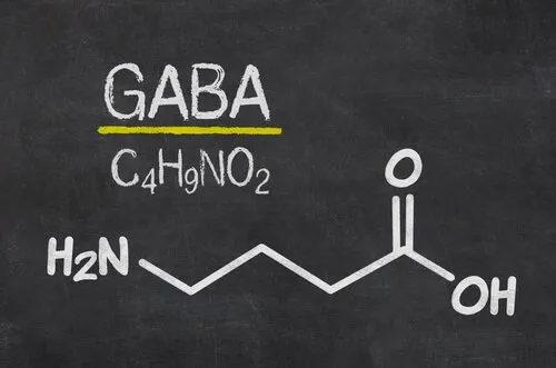 GABA: rahulik neurotransmitter