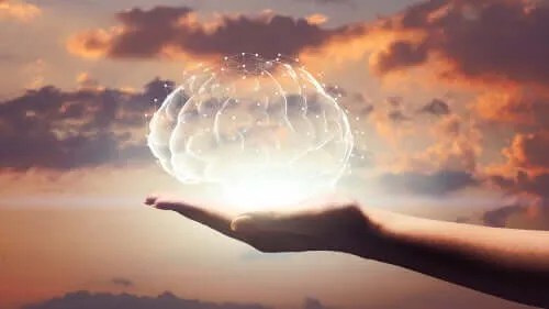 Steven Pinker, padre della psicologia evoluzionistica