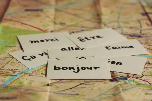 Le bilinguisme aide à prévenir la maladie d
