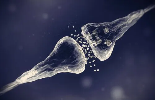 Tipos de sinapses: comunicação neuronal