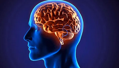 Glutamāts: daudzfunkcionāls neirotransmiters
