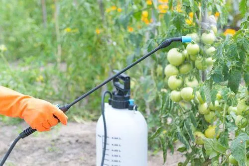 Pesticidų poveikis smegenims
