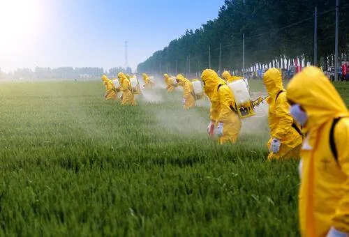 Pesticidų poveikis smegenims