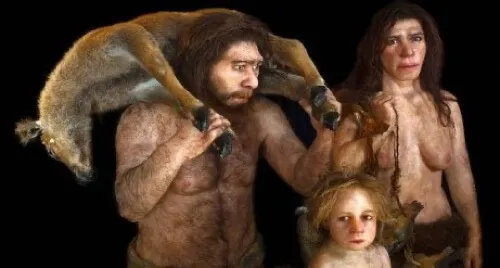 O cérebro dos Neandertais