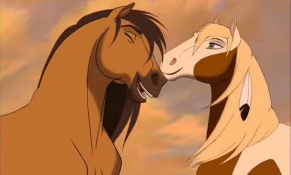 Film sugli animali per riflettere su come li trattiamo