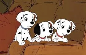 Film sugli animali per riflettere su come li trattiamo