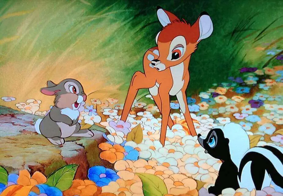 Film sugli animali per riflettere su come li trattiamo