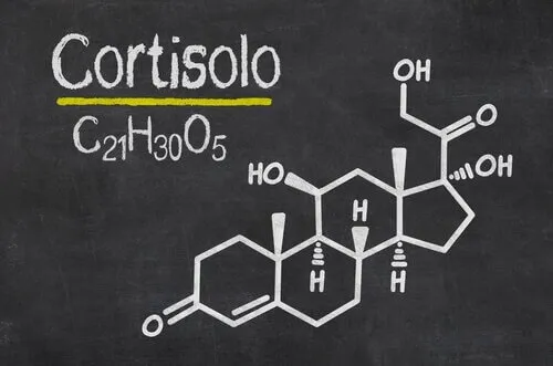 Varmt vand og citron om morgenen: fysiske og cerebrale fordele