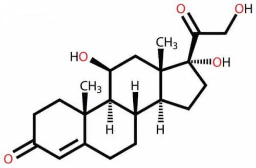 Cortisol: das Stresshormon