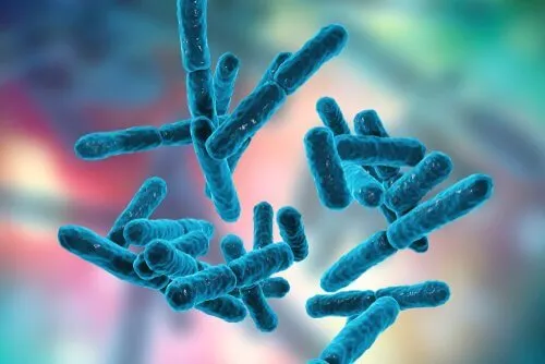 Sistemul nervos enteric nu gândește, ci simte