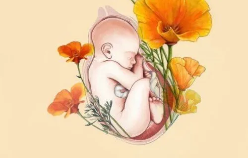 Avere o non avere figli?