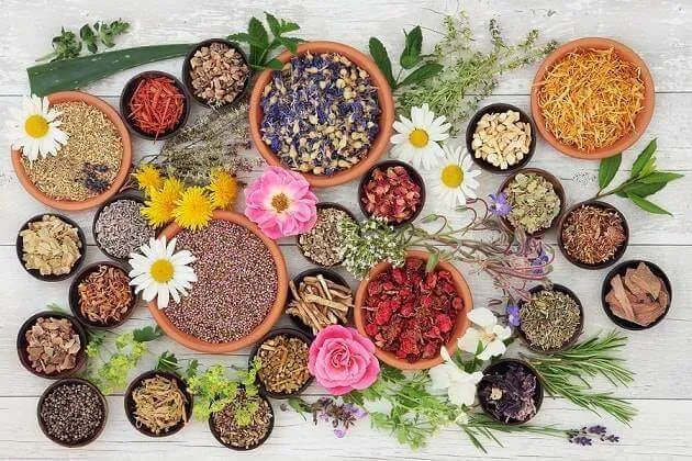 Naturliga anxiolytika: vad är de?