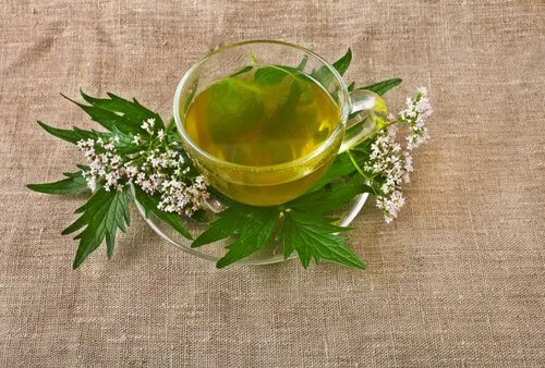 Nuku paremmin luonnollisilla infuusioilla