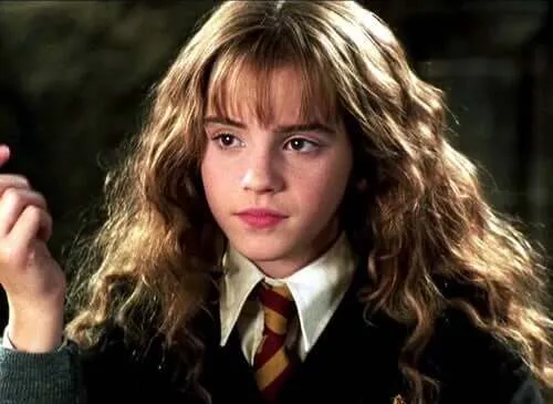 Feminizem Hermione Granger v Harryju Potterju