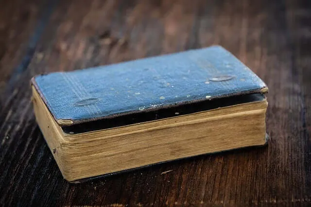 Garcilaso de la Vega, pai da literatura peruana