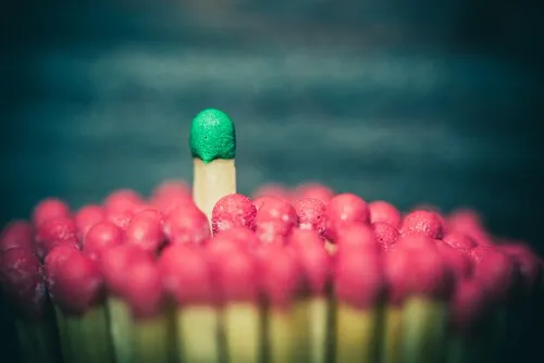 Sociale psychologie en sociologie: verschillen