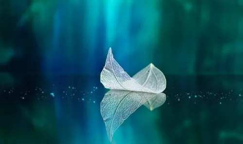 Penser positivement pour vivre mieux