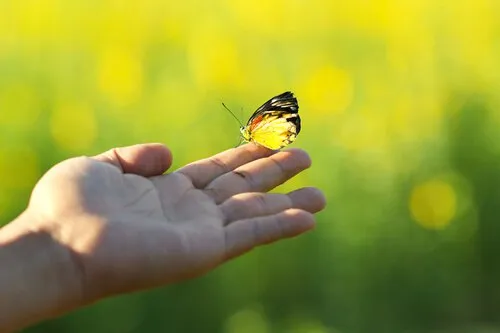 5 citate de Albert Camus care vă vor schimba felul în care vedeți viața