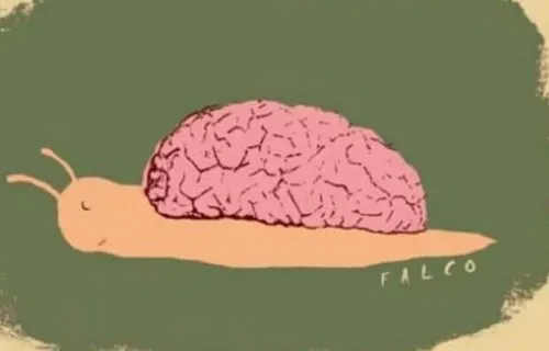 Pomalé učenie: rozmanitosť alebo anomália?
