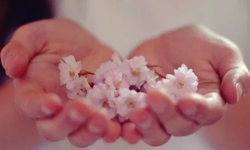 Leis da abundância: decálogo para viver melhor