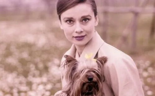 Citações de Audrey Hepburn para se inspirar