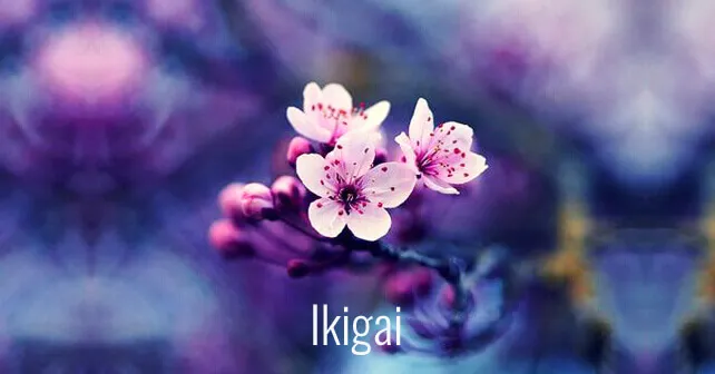 Ikigai: sellaisen löytämisen taito