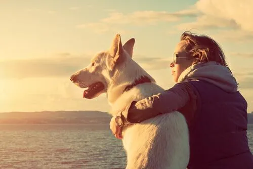 Faire face au décès de votre animal