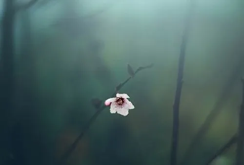 용기가 있다는 것은 조각을 모으고 더 강해지는 것을 의미합니다.