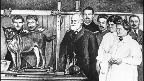 Micul Albert experiment și condiționare