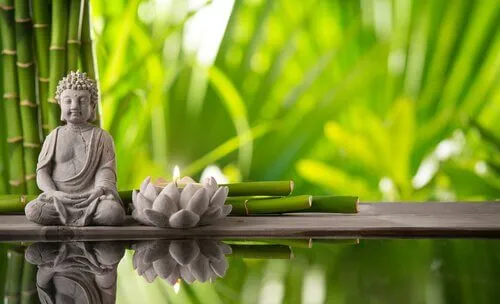 Feng Shui: a influência do lar no nosso bem-estar