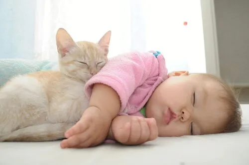 Animaux et bébés : les avantages pour la croissance