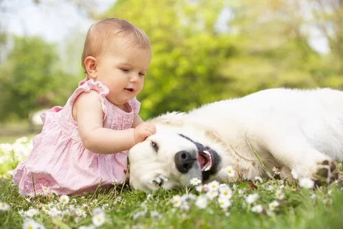 Animaux et bébés : les avantages pour la croissance