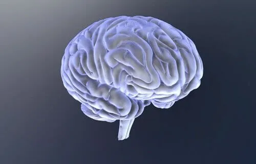 Biopsychologia i metody badawcze