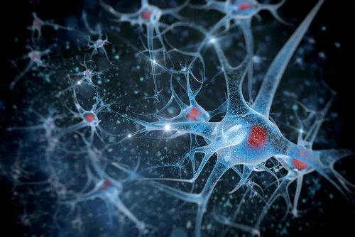 Biopsychologia i metody badawcze