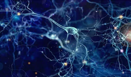 Wat gebeurt er met neuronen als we slapen?