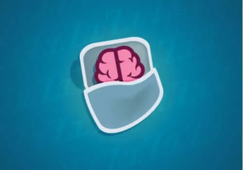 Wat gebeurt er met neuronen als we slapen?