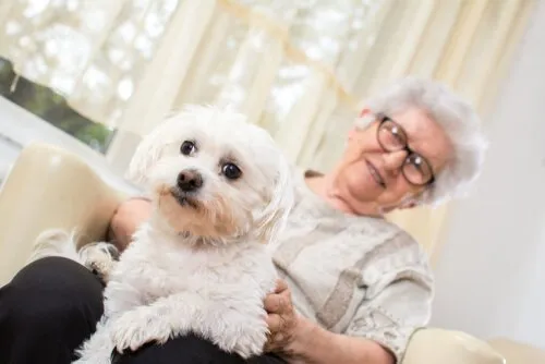 Terapia cu animale de companie pentru persoanele cu Alzheimer