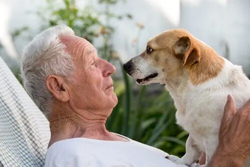 Terapia cu animale de companie pentru persoanele cu Alzheimer
