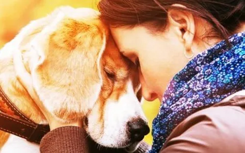 Amar um animal: por que tanta intensidade?
