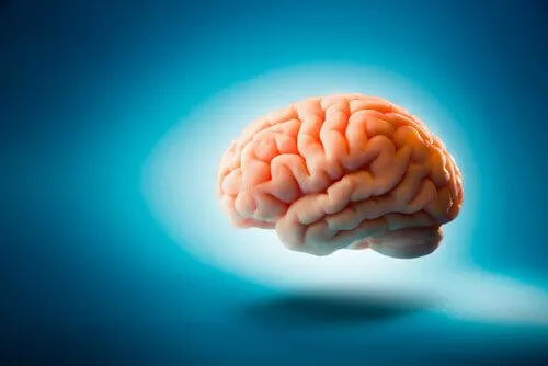 Curiosità sul cervello che forse ancora non conosci