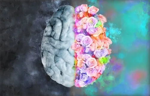 Neuroesteetika: kunsti mõistmine teadusega
