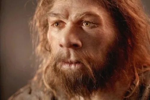 Neandertalernes hjerne