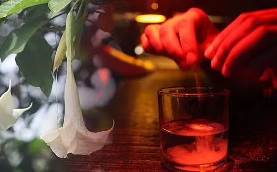 Escopolamina: a droga que anula sua vontade
