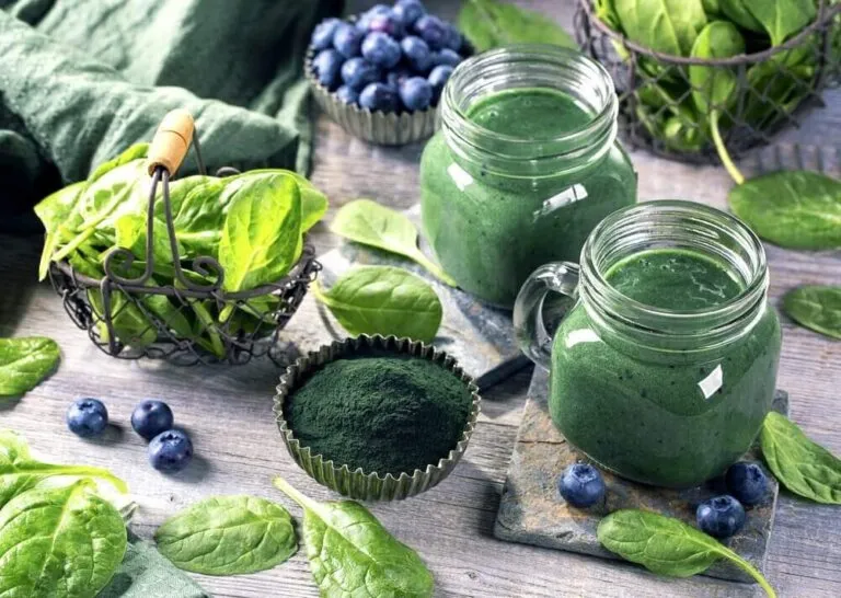 Spirulina: Vorteile für Körper und Gehirn