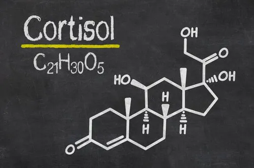Cortisol: het stresshormoon