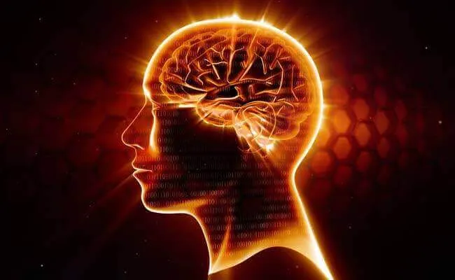 Omega 3: a legjobb neuroprotektor